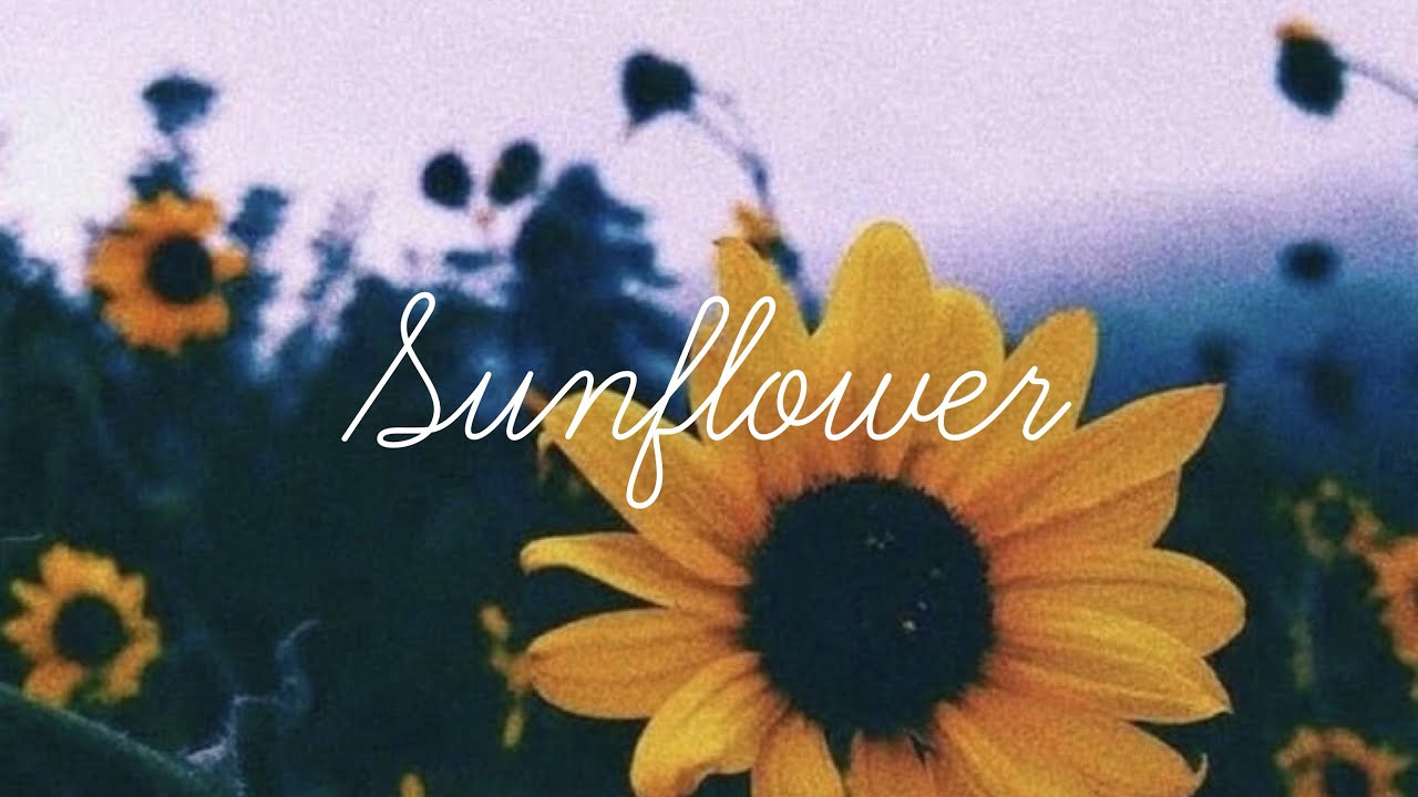 Sunflower Sierra Burgess Is A Loser lyrics YouTube