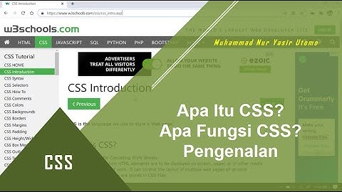 CSS: Pendahuluan, Pengenalan dan Fungsinya