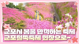 군포시 봄을 만끽하는 축제, 2024 군포철쭉축제 현장 속으로~!