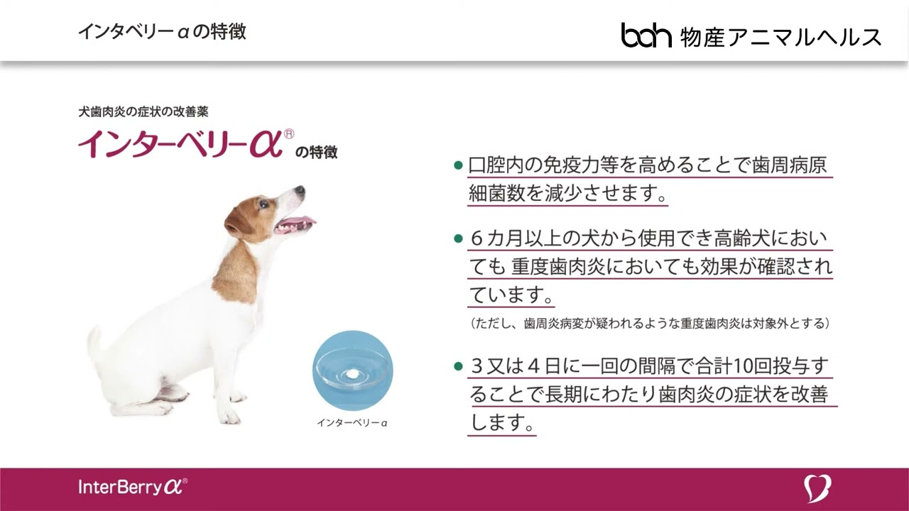インターベリーα®｜vet-i-ch｜小動物医療従事者向け Vet-i ch｜物産