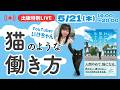 【新刊出版特別LIVE】「猫のように」働きたい【YouTuberいけちゃんコラボ】