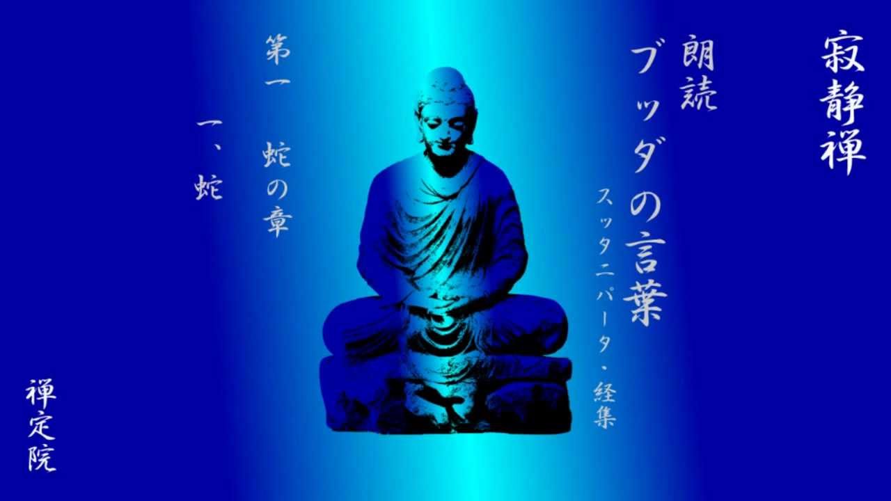 表現のための 実践ロイヤル英文法 を読む まるちゃんの めざせ 快適シンプルlife 表現のための 実践ロイヤル英文法 を読む まるちゃんの めざせ 快適シンプルlife
