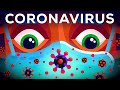 Coronavirus: Qué hacer para protegerse 🦠