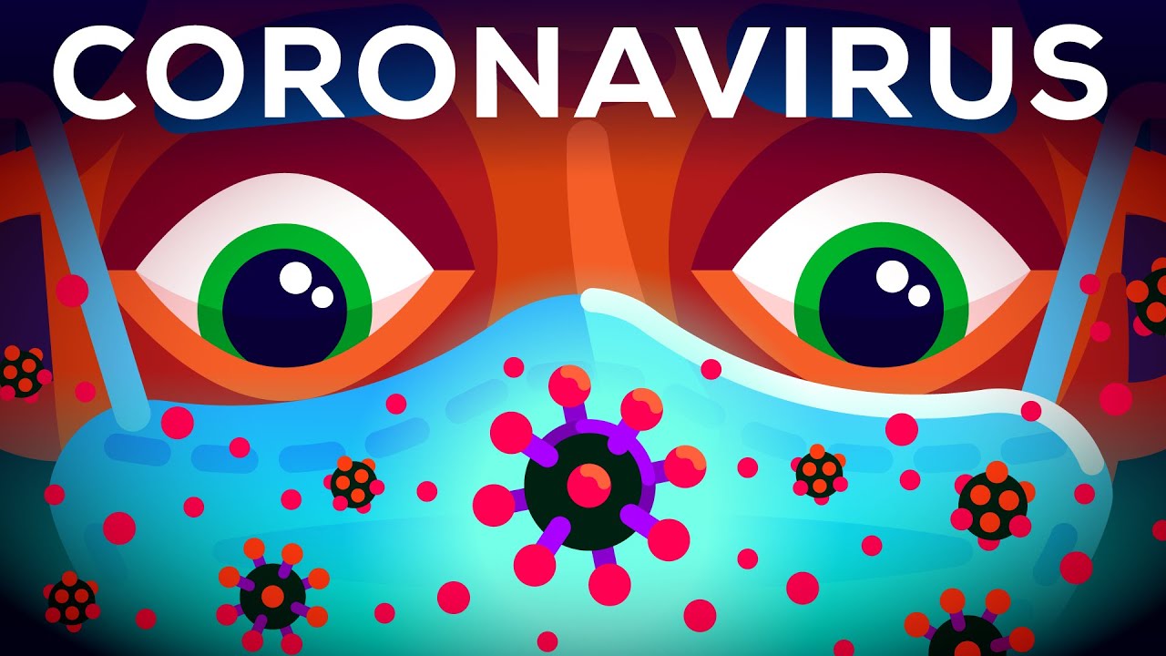 ⁣El coronavirus explicado: qué debemos hacer cada uno