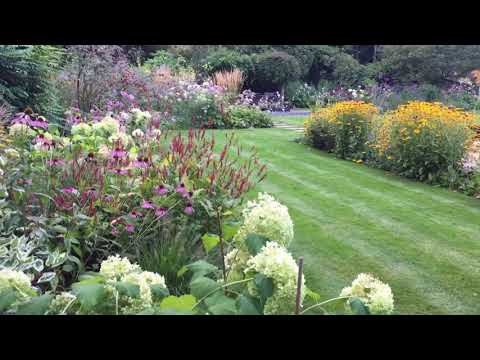 Video: Progettazione di giardini perenni: suggerimenti per la coltivazione di giardini fioriti perenni
