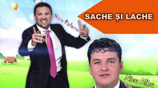 Sache și Lache - Minte-n cap nu am avut