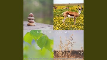 Modish Koto and Strings - Vibe for Mantra Meditation