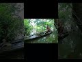 Primitive Frog Hunting on a Small Boat