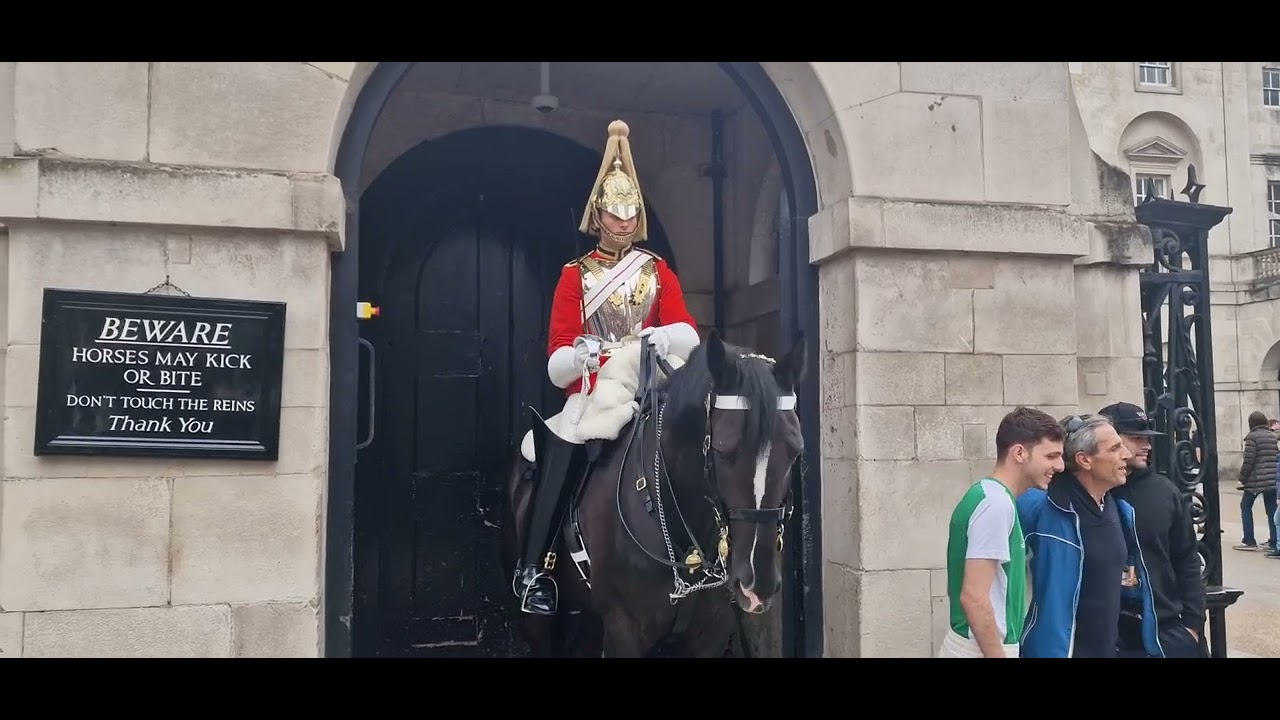 YOU WON’T BELIEVE HOW ABUSIVE HE GETS TOWARDS ROYAL GUARD | Horse Guards, Royal guard, Kings Guard