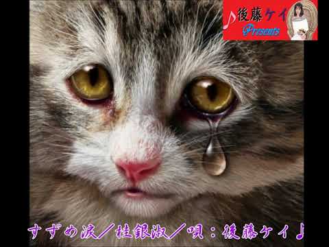 すずめの涙／桂銀淑／唄：後藤ケイ♪