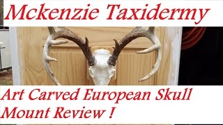 Art Carved Two-Piece Skull Review Mckenzie Taxidermy