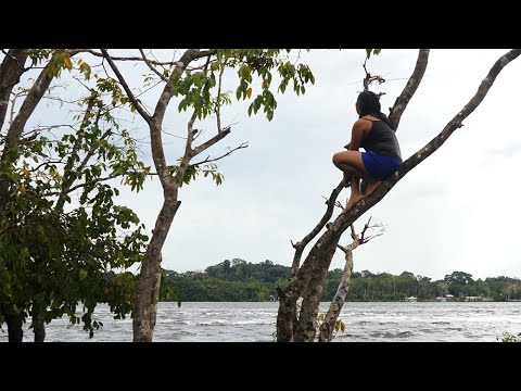 Encantadas - Mulheres e suas lutas na Amazônia