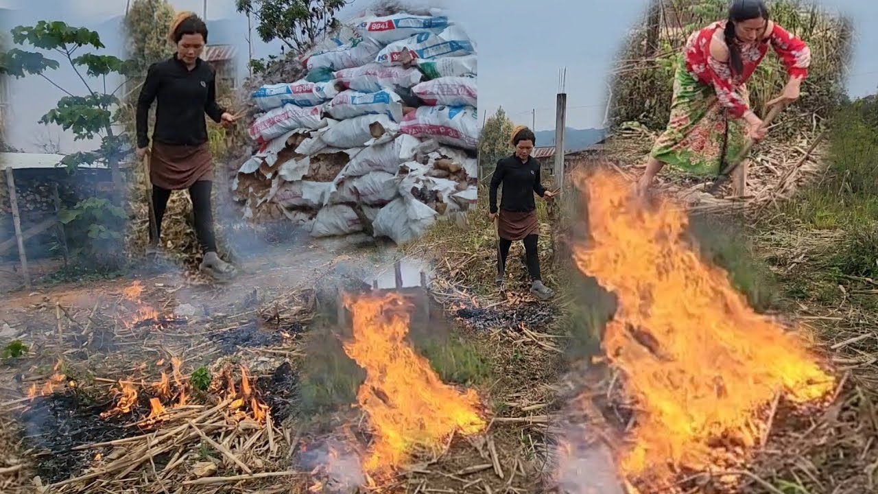 6 มีนาคม ค.ศ. 2026