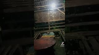 moth #india #krishliy #philippines #viral #youtuber #trending #fypシ #teacher #smallyoutuber