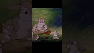 thumper from 'bambi' !!!🎀💖 #thumper #bambi #guitar #music #beach