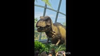 Day 1 In Singapore - Garden by the bay
