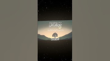 سورة فاطر|19-22|القارئ:#محمد_اللحيدان #قران #quran #راحة_نفسية#قران_كريم#تلاوة_هادئة#آية#تلاوة_خاشعة