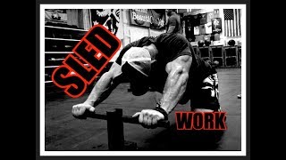 Do SLED WORK For Bigger, Stronger Legs - MASSIVELY Underrated!