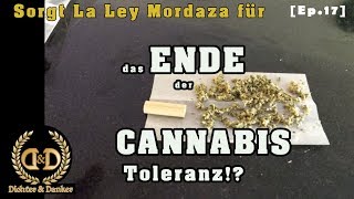 Cannabis Clubs vor dem Ende? | Cannabis Clubs in Spanien [Pt.5] // Dichter & Danker Ep.17