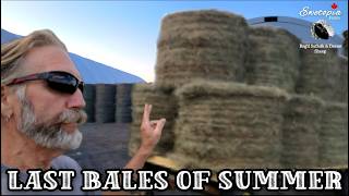 Was It A Mistake Cutting Hay This Late In The Season?