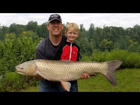 Fishing for Grass Carp - How to catch grass carp - Carp fishing tips and  techniques 