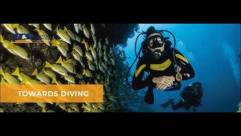 Towards a brighter and stronger future