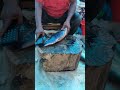 All Fish Cutting Skill | Mrigal, Rohu, Katla &amp; Hilsa Fish Cutting By Expert Fish Cutter