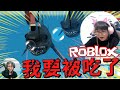 【ROBLOX】救命啊!要被大白鯊吃掉了!/鯊口求生[NyoNyo妞妞日常實況]