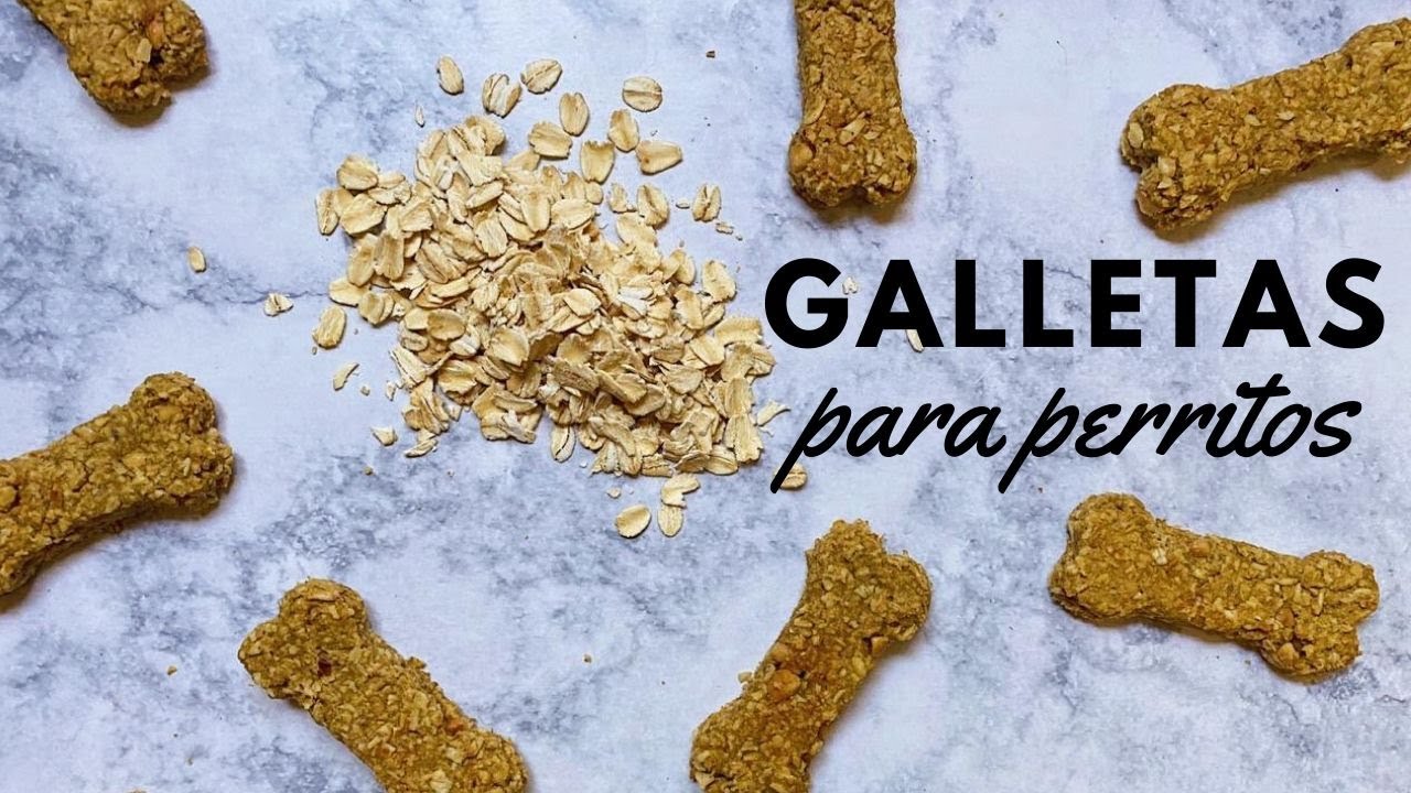 Galletas Saludables para Perritos! 4 Ingredientes y SIN HORNO! YouTube