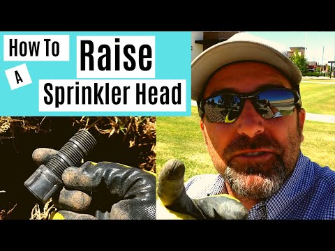 Video: Hvad er et stigrør på et sprinkleranlæg?