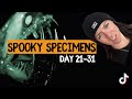 TikTok Compilation: Spooky Specimens (Day 21-31) | Lindsay Nikole