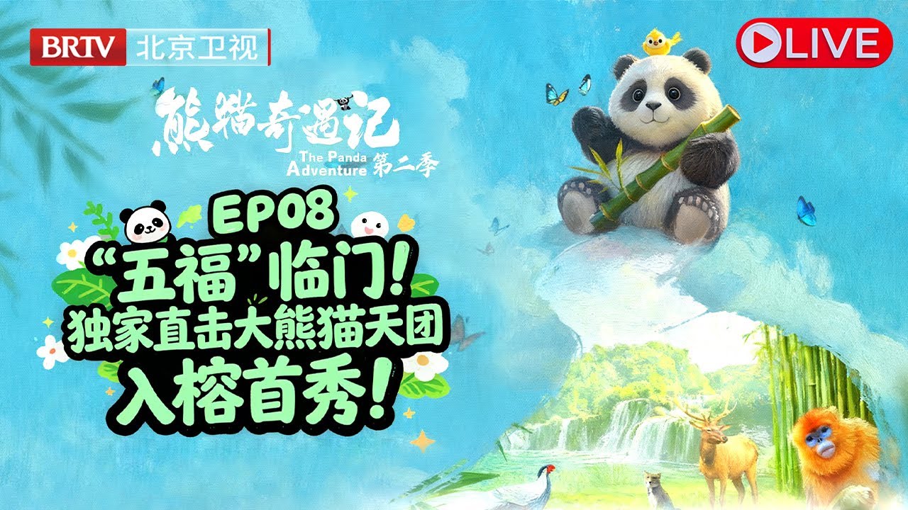 Live:《熊猫奇遇记》第二季第8期：独家直击大熊猫天团入榕首秀！