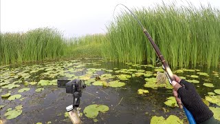 Download Lagu Awalnya Ragu‼️Ternyata Spot Ini Sangat Gacor Sekali MP3 Download Lagu Awalnya Ragu‼️Ternyata Spot Ini Sangat Gacor Sekali MP3