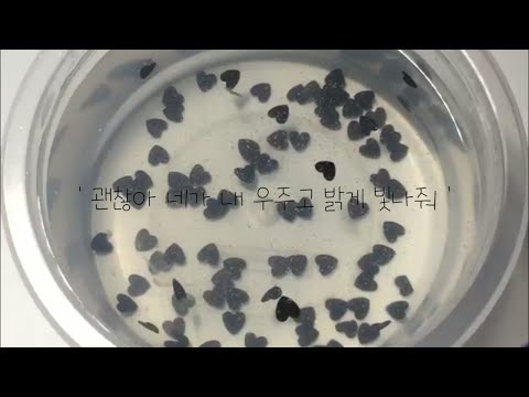 엔플라잉 - 옥탑방 || 가사쓰기 || 짧게 || 노추받음 || 뚀옐 || 파연카 || 히히 || 초반환영