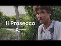 Silvano Follador, Valdobbiadene, Treviso - Il Prosecco