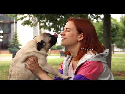 Pug Training