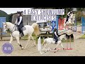 Jumping Masterclass - 4 Show Jumping Exercises For Beginners | UK Equestrian YouTuber