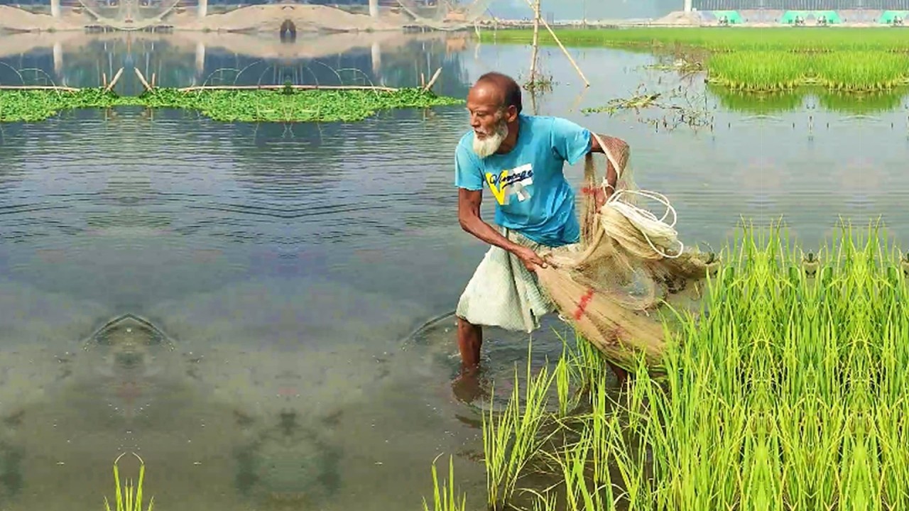 Amazing Fishing Video - Traditional Fishing Method - Best Village Fishing Video