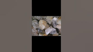 River Sand under the Microscope - Real Video and Images on Microscope !!!