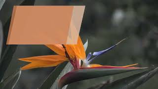 Best Online Ac Repair Services In Delhi Ncr Aks Facilities