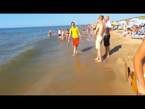 Der Strand an der Nordsee in Wassenaar in Holland (Wassenaarse Slag bei Duinrell)