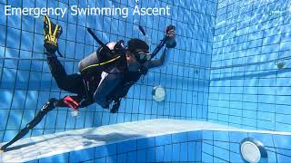 VLOG #03: SSI DIVEMASTER COURSE