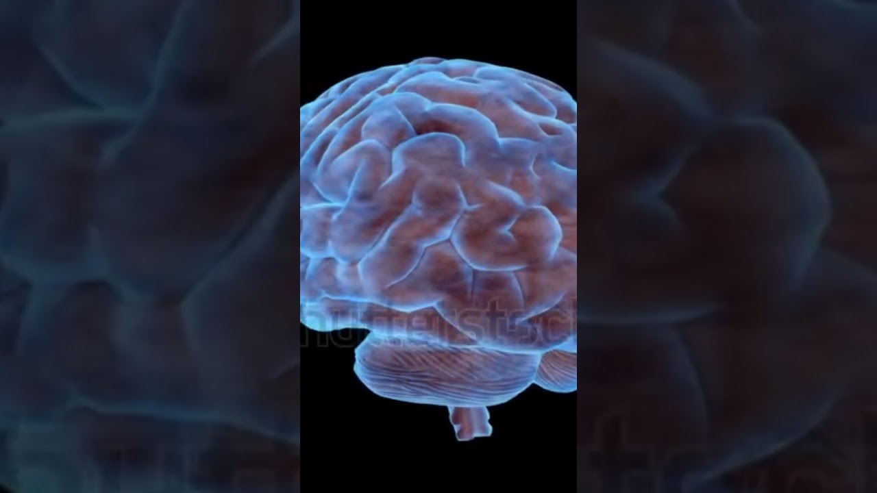 5 Random fun facts you didn't hear before 