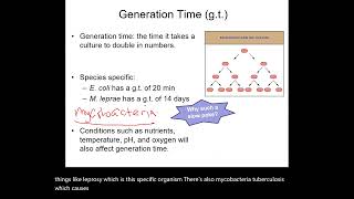 Binary Fission