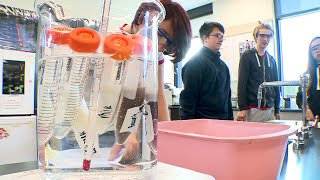 Hands-on lessons help teens understand risks of type 2 diabetes screenshot 4