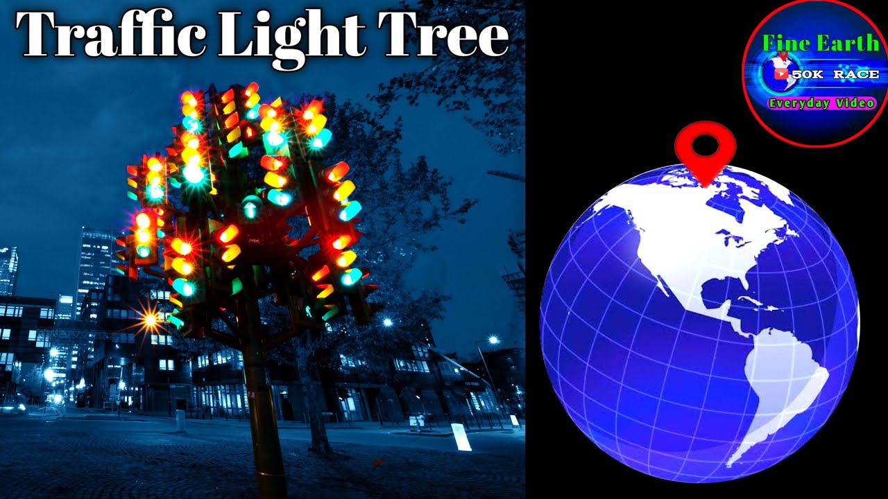 Traffic Light Tree Strange Traffic Light found on Google Earth YouTube