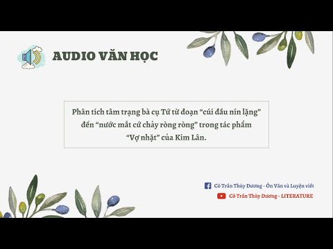 Video AUDIO VĂN HỌC | Phân tích tâm trạng bà cụ Tứ trong tác... - youtube