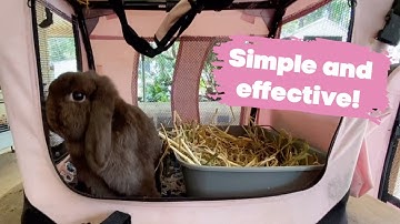 HOW TO PICK UP A BUNNY USING A CARRIER