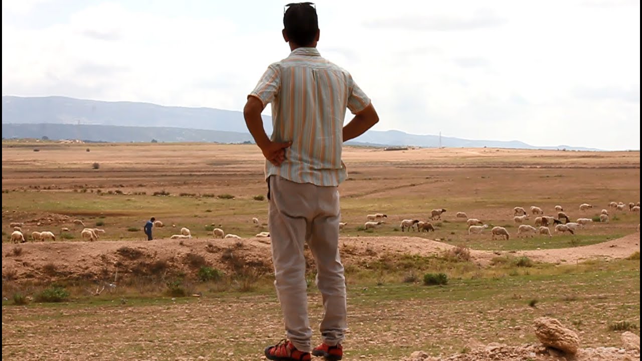 الأراضي الدولية: ملك الدولة أو ملك الشعب؟