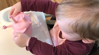 Silicone Sippy Cup unboxing and review | Silicone Toddler Learner Cup Review | Elephant Toddler Cup